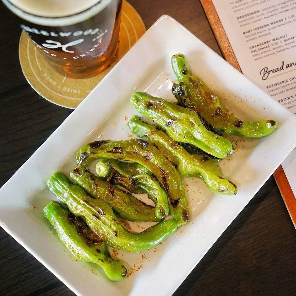 Blistered shishito peppers on a white plate beside a Hazelwood pint and the menu